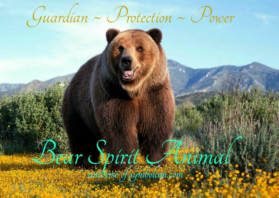 Meaning of Bear Spirit Animal Symbolism - Wild Gratitude