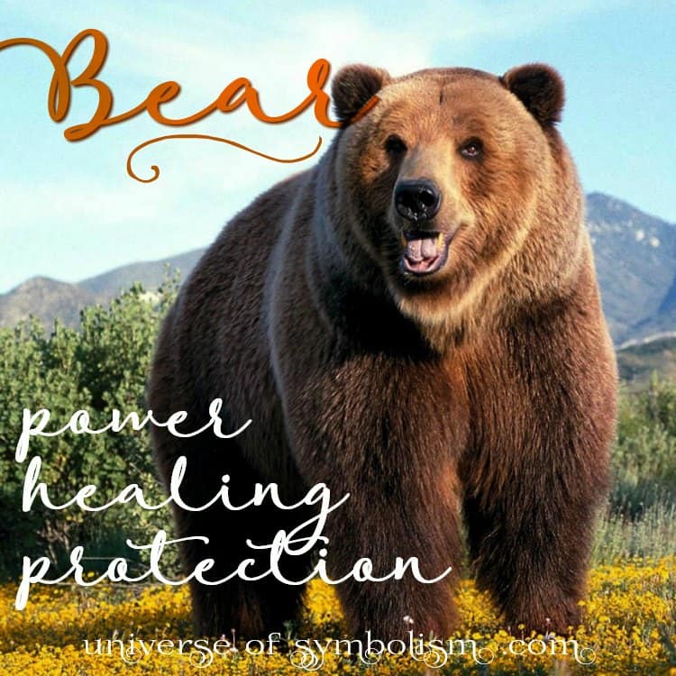 bear-symbolism-bear-meaning-bear-spirit-animal-myth-legend-lore