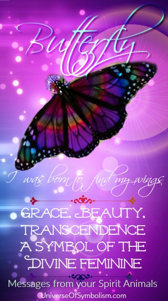 Butterfly Symbolism Butterfly Meaning Spirit Animal Guidance