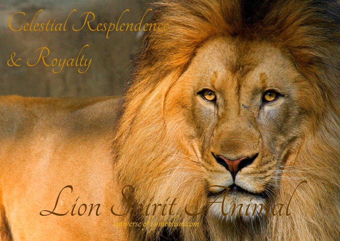 Lion Symbolism Spiritual Meaning Lion Spirit Totem And Power Animal